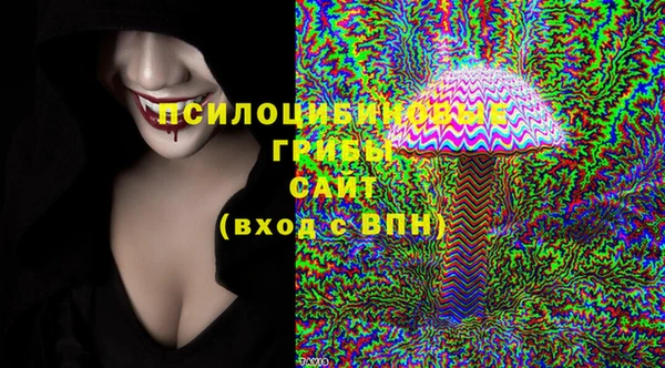 гидропоника Бугульма