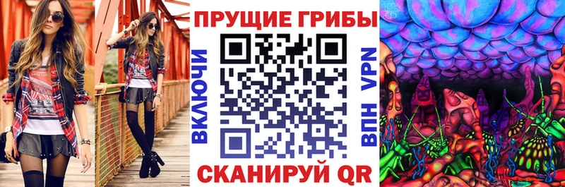 МЕГА маркетплейс  Палласовка  Галлюциногенные грибы мухоморы 